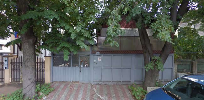 Strada Virgil Pleșoianu 52A, București 011528, România