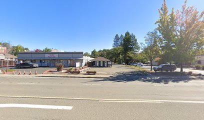 Willits Chiropractic Clinic - Pet Food Store in Willits California