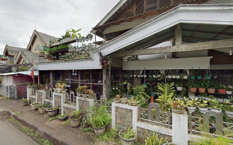 Menikmati Kelezatan Restoran Asia di Sulawesi Utara: Temukan 3 Tempat Kuliner Terbaik