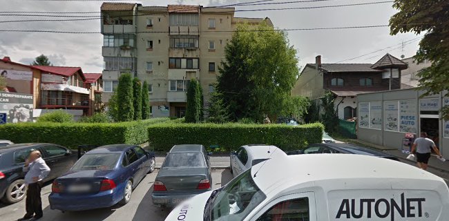 Strada Mihail Kogălniceanu 8, Câmpina 105600, România