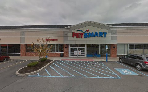 Pet Supply Store «PetSmart», reviews and photos, 5722 S Transit Rd, Lockport, NY 14094, USA