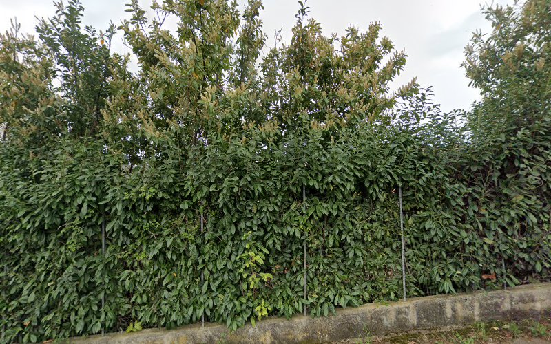 Agricola Mondo Natura di Attura Emanuela