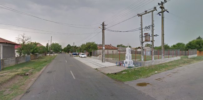 Strada Principală nr 307, Copăceanca 147057, România