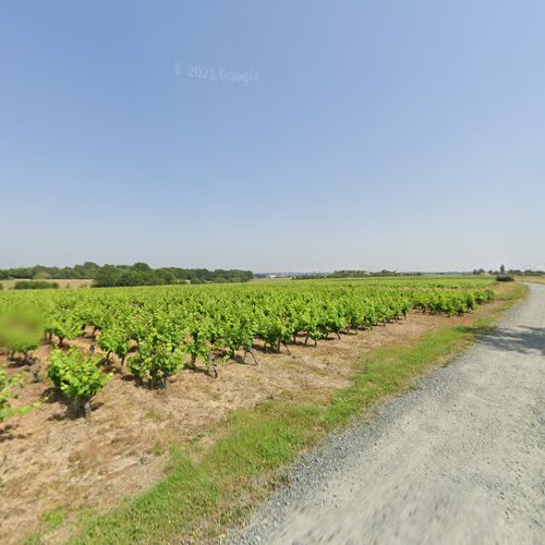 M-J Toublanc's Vineyard à Divatte-sur-Loire