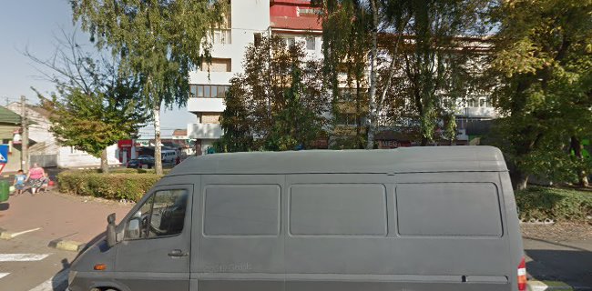 Strada Vasile Alecsandri 9, Suceava 720008, România