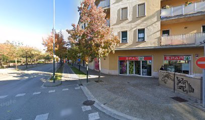 Asianlang en Girona