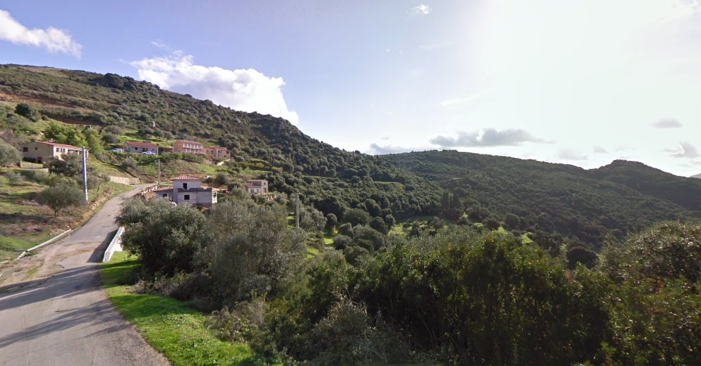SIMON ETIENNE à Arbellara (Haute-Corse 20)