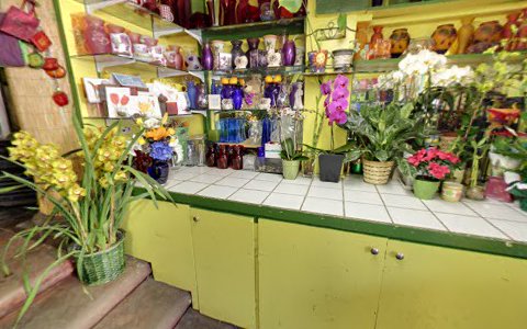 Florist «Campus Flowers», reviews and photos, 2532 Durant Ave, Berkeley, CA 94704, USA