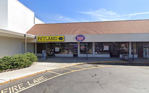 Petland Discounts - Richmond image 9