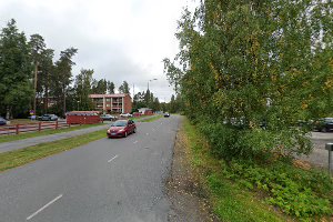 Mäntylänpuisto image