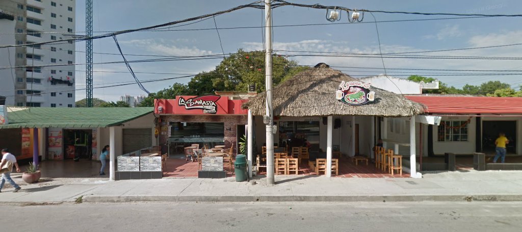 Bar la iguana