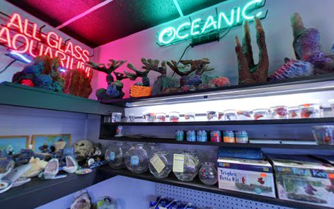Pet Store «Strictly Fish», reviews and photos, 8373 SW 40th St, Miami, FL 33155, USA