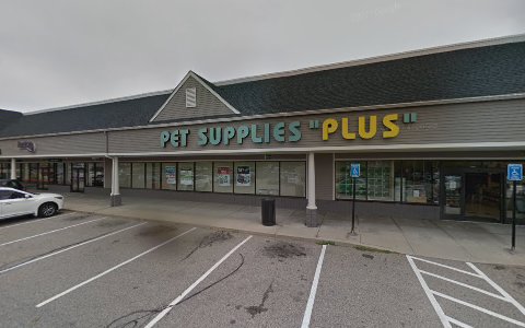 Pet Supply Store «Pet Supplies Plus», reviews and photos, 171 Sockanosset Cross Rd, Cranston, RI 02920, USA