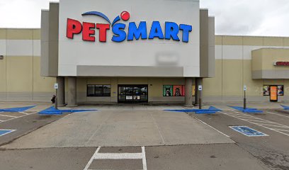 PetSmart Dog Training