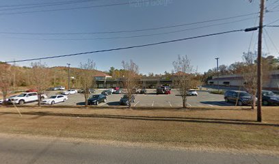 Lameka R. Tolliver-Fisher, DC - Pet Food Store in Trussville Alabama