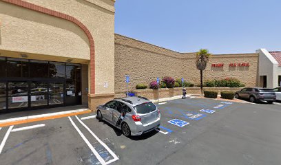 PetSmart Dog Training