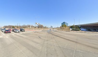 Every Dog Has Its Day