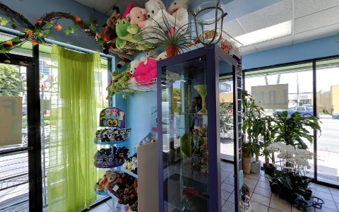 Florist «Casa De Flores», reviews and photos, 15600 Ventura Blvd, Encino, CA 91436, USA