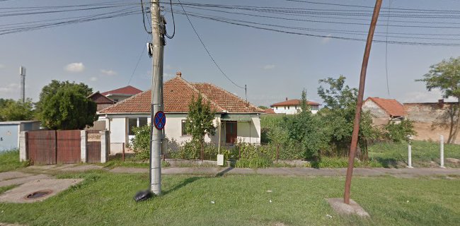 Strada Aurel Vlaicu 74, Satu Mare 440122, România