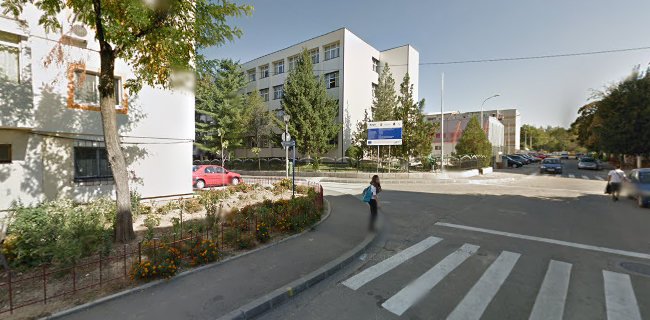 Liviu Rebreanu Secondary School Mioveni - <nil>