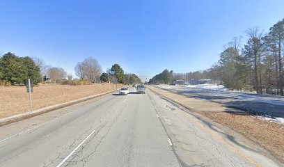 Comb and Collar Pet Grooming