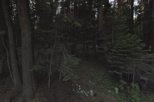 Billy Creek, Upper Campground image