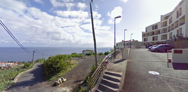 Guia Ilha da Madeira - Torres Vedras