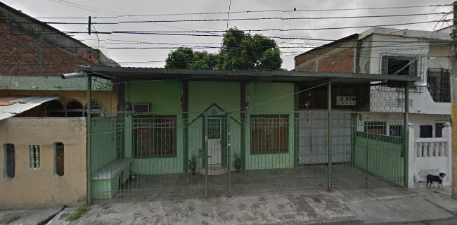 Opiniones de OptiCleanWater en Guayaquil - Empresa de fumigación y control de plagas