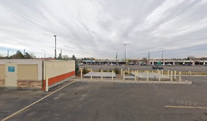 Dog And Cat Grooming