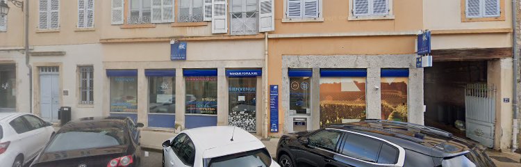 Photo du Banque Banque Populaire Auvergne Rhône Alpes à Trévoux