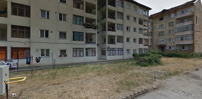 Al. Pinilor, 5, Resita, Caras-Severin, 320119, Reșița, România