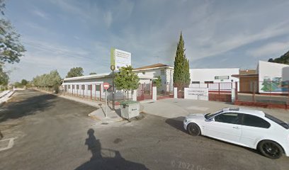 Colegio San Walabonso en Niebla