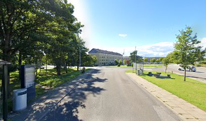Palmeallé v Esbjergvej (Kolding)