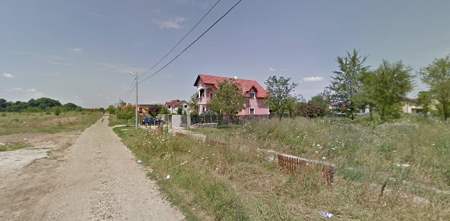 Strada Phoenix 26, Timișoara 300254, România
