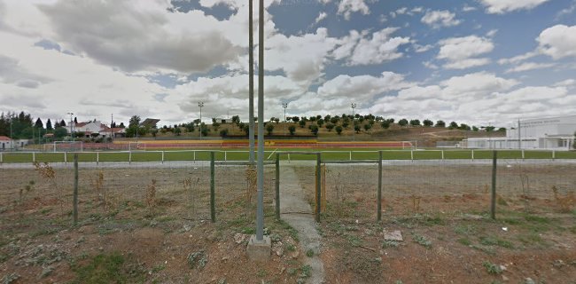 Campo de Futebol D.Manuel II - Campo de futebol