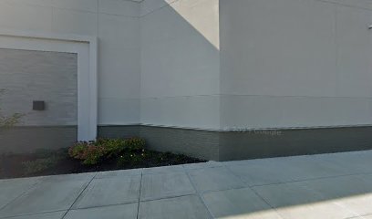 PetSmart Dog Training