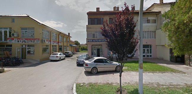 Piese auto si agricole