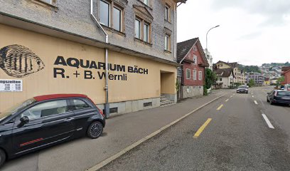 Aquarium Bäch