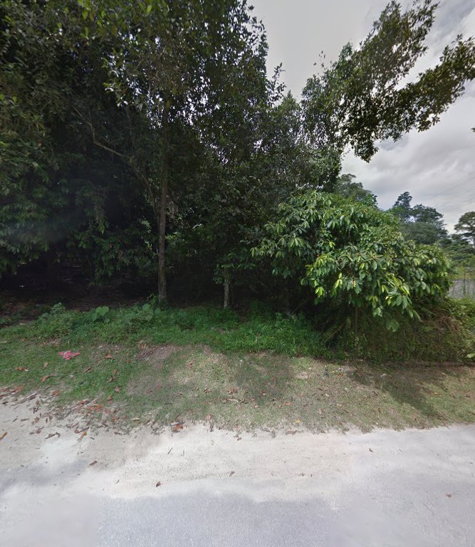 Camping area Bukit Lagong Forest Reserve