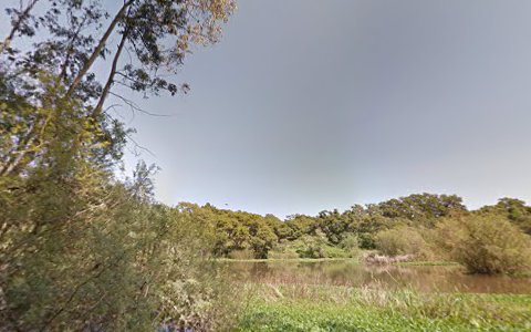 Park «Pinto Lake Park», reviews and photos, 451 Green Valley Rd, Watsonville, CA 95076, USA
