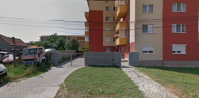 Opinii despre Imobiliare Arad | Servicii curatenie - Isandra Urbana în <nil> - Servicii de curățenie