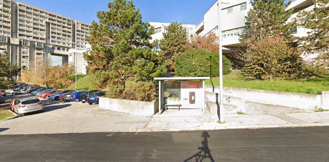 Recensioni di Scuola dell'Infanzia Statale "di Melara" a Trieste - Asilo nido