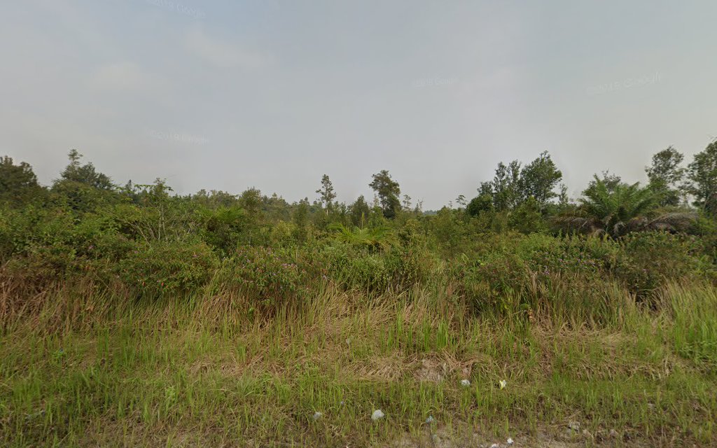 Foto SMKN  1 Timpah, Kab. Kapuas
