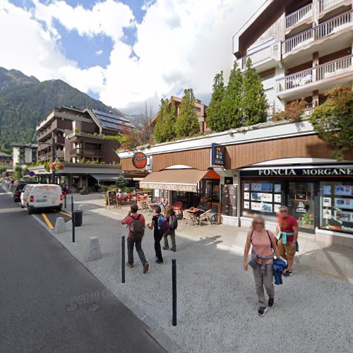 Agence immobilière Morgane Immobilier SAS Chamonix-Mont-Blanc