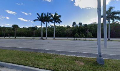 Nestor James DC - Chiropractor in North Miami Beach Florida