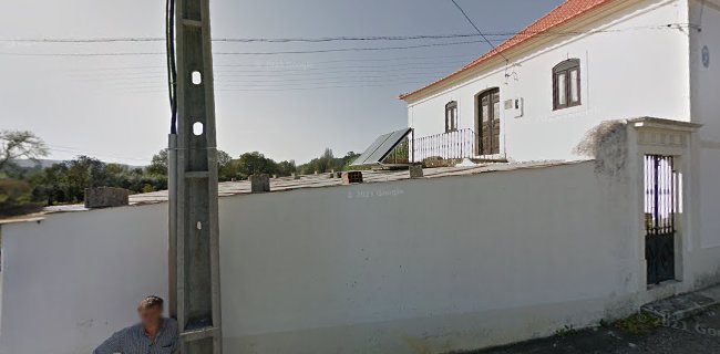 We Plant in Portugal - Produtor de mirtilo em vaso - Mercado