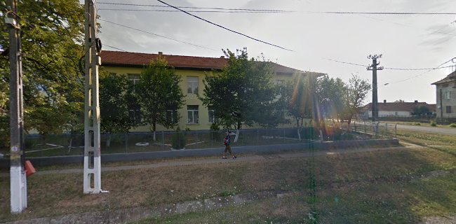 Opinii despre Scoala gimnaziala Livada de Bihor în <nil> - Școală