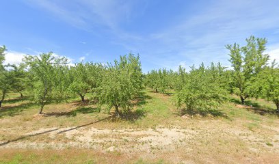 Friendly Acre Pet Boarding & Grooming