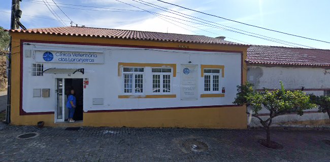 Clinica Veterinaria Laranjeiras - Veterinário