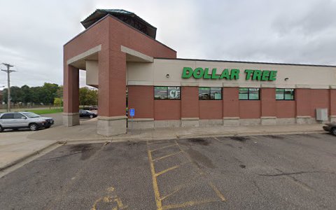 Dollar Store «Dollar Tree», reviews and photos, 3851 St Francis Blvd NW, Anoka, MN 55303, USA